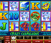 Crazy Chameleons